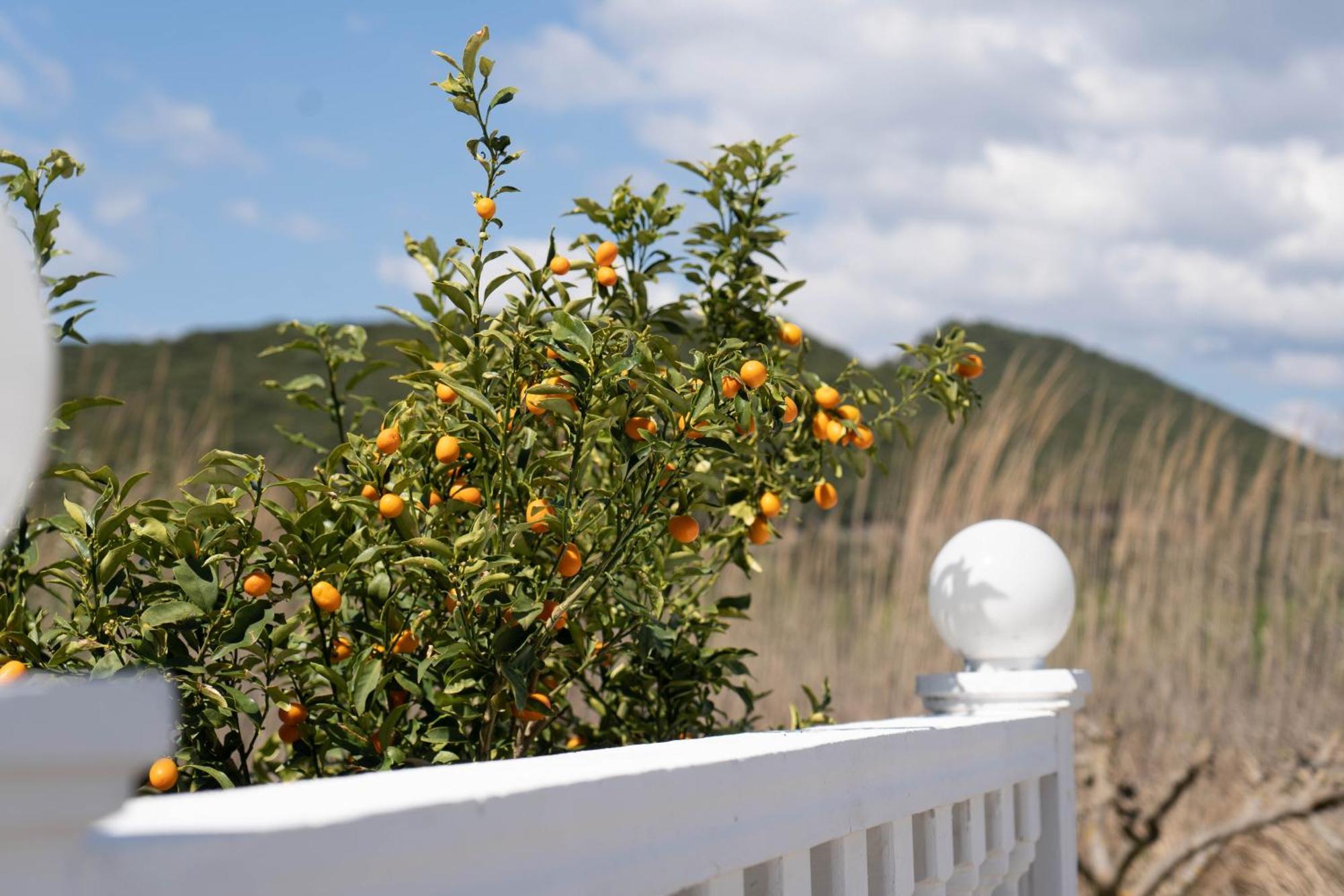 Hotel Alexandros Ammoudia Exterior foto